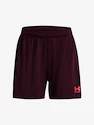 Dámske šortky Under Armour  W's Ch. Knit Short-MRN