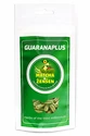 GuaranaPlus  Matcha + Ženšen 100 kapslí