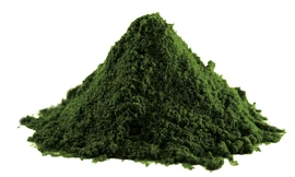 LifeLike BIO Spirulina prášek 100 g