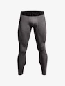 Nohavice Under Armour ColdGear Leggings-GRY