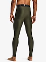 Nohavice Under Armour HeatGear Leggings-GRN