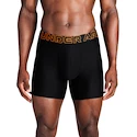 Pánske boxerky Under Armour Perf Tech 6in