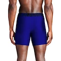 Pánske boxerky Under Armour Perf Tech 6in