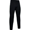 Pánske nohavice Under Armour  Flex Pant Black