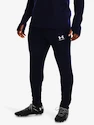 Pánske nohavice Under Armour  M's Ch. Train Pant-BLU