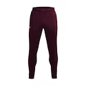 Pánske nohavice Under Armour  Terry Pant Red L