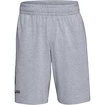 Pánske šortky Under Armour  COTTON BIG LOGO SHORTS gray