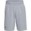 Pánske šortky Under Armour  COTTON BIG LOGO SHORTS gray XXL