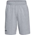 Pánske šortky Under Armour  COTTON BIG LOGO SHORTS gray XXL