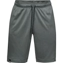 Pánske šortky Under Armour  Lighter Longer Short S