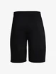 Pánske šortky Under Armour  Raid 2.0 Shorts-BLK