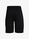 Pánske šortky Under Armour  Raid 2.0 Shorts-BLK