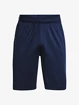 Pánske šortky Under Armour  Raid 2.0 Shorts-NVY