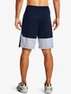 Pánske šortky Under Armour  Raid 2.0 Shorts-NVY