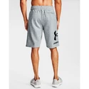 Pánske šortky Under Armour  Rival FLC Big Logo Shorts gray