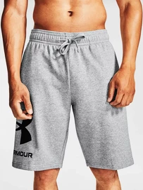 Pánske šortky Under Armour Rival FLC Big Logo Shorts gray