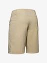 Pánske šortky Under Armour  Storm Fish Hunter Storm Short-BRN