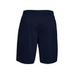 Pánske šortky Under Armour  Tech Mesh Shorts blue