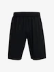 Pánske šortky Under Armour  Tech WM Graphic Short-BLK