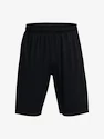 Pánske šortky Under Armour  Tech WM Graphic Short-BLK