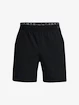 Pánske šortky Under Armour  Vanish Woven 6in Shorts-BLK