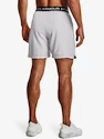 Pánske šortky Under Armour  Vanish Woven 6in Shorts-GRY