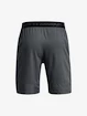 Pánske šortky Under Armour  Vanish Woven 8in Shorts-GRY