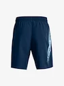 Pánske šortky Under Armour  Woven Graphic Shorts-BLU