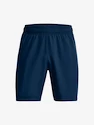 Pánske šortky Under Armour  Woven Graphic Shorts-BLU