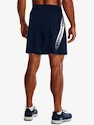 Pánske šortky Under Armour  Woven Graphic Shorts-NVY