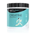 SportWave Creatine Monohydrate 300 g