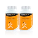 SportWave SportWave Tribulus+ 120 kapslí 1+1